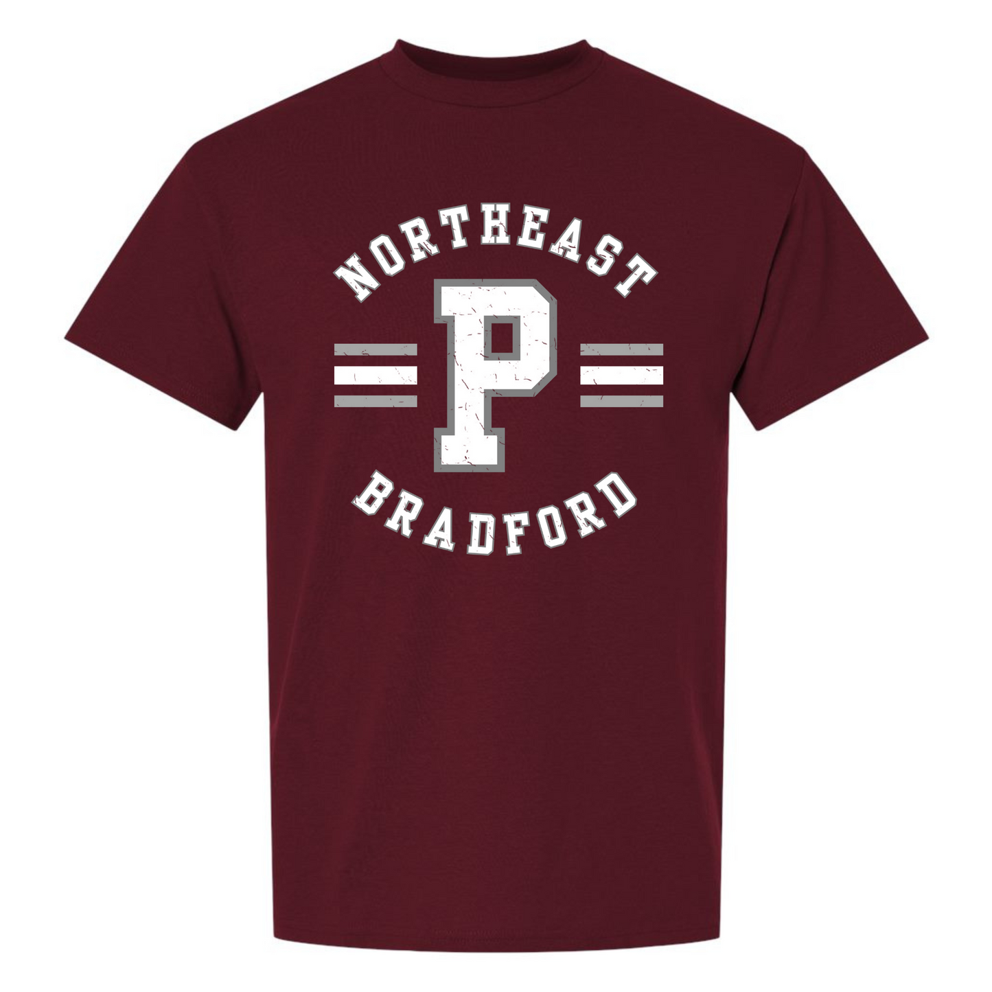 Varsity Distressed Panthers - DryBlend T-Shirt