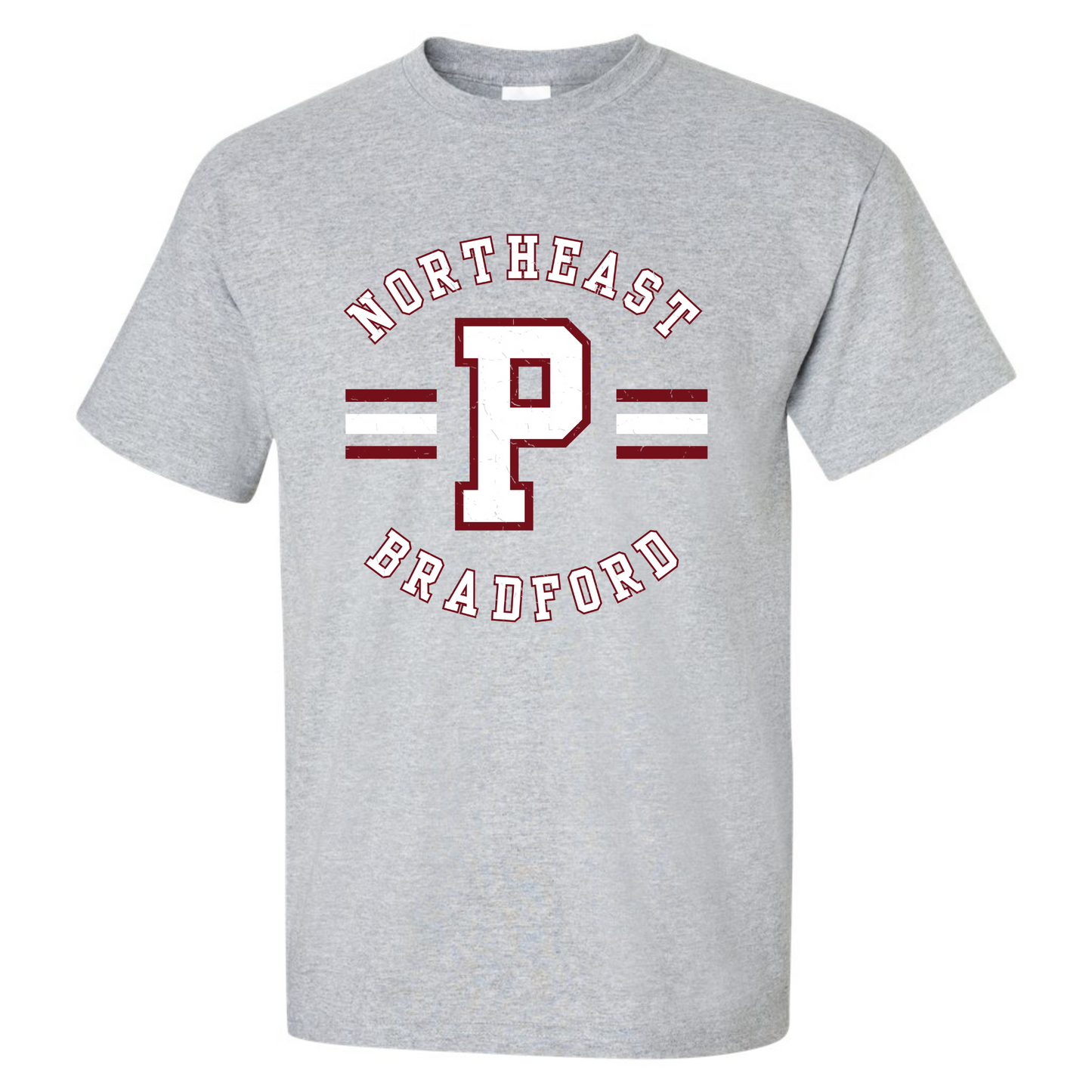 Varsity Distressed Panthers - DryBlend T-Shirt