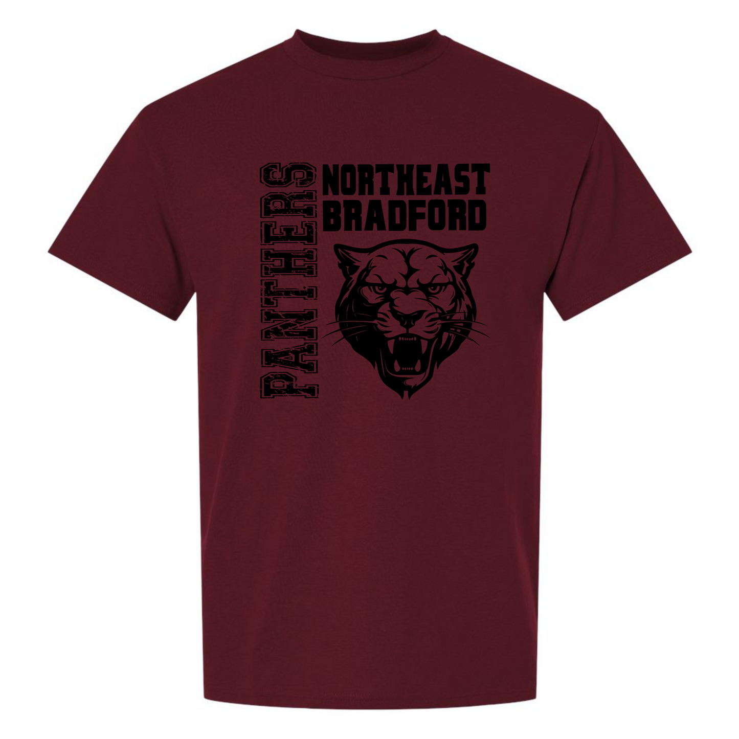 Panthers - DryBlend T-Shirt