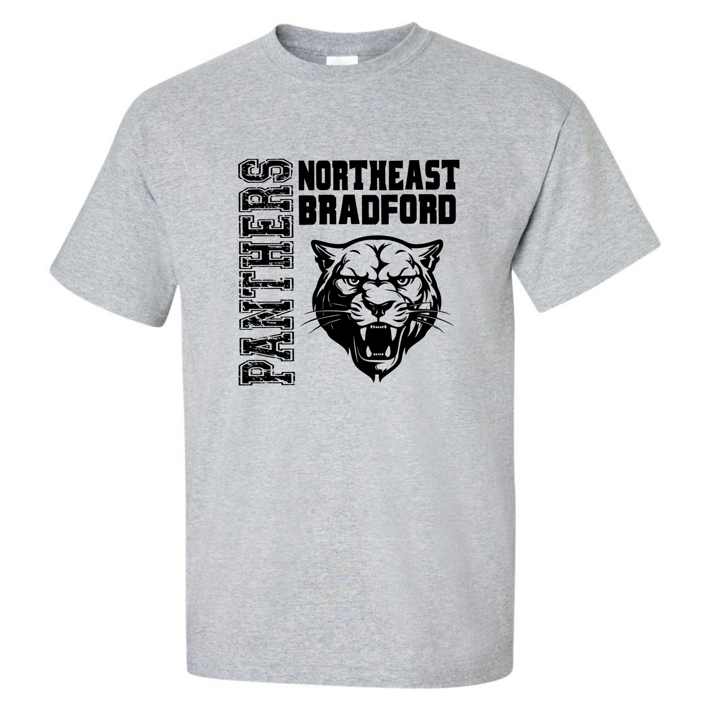 Panthers - DryBlend T-Shirt