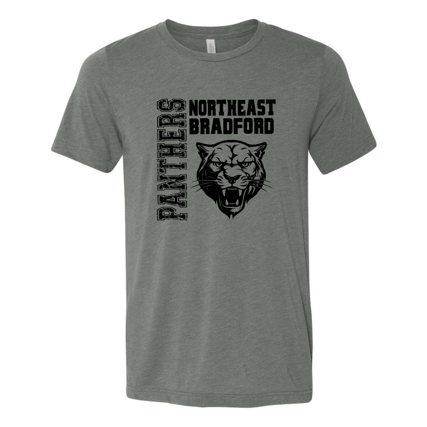 Panthers - Bella Canvas CVC - Deep Heather Grey