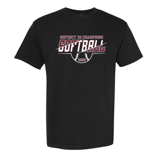 District 33 Champions - Comfort Colors T-Shirt - Black