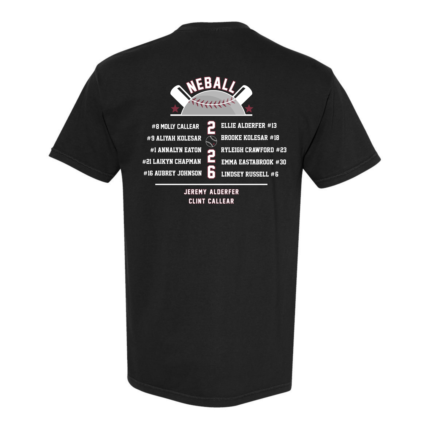 District 33 Champions - Comfort Colors T-Shirt - Black