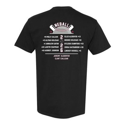District 33 Champions - Comfort Colors T-Shirt - Black