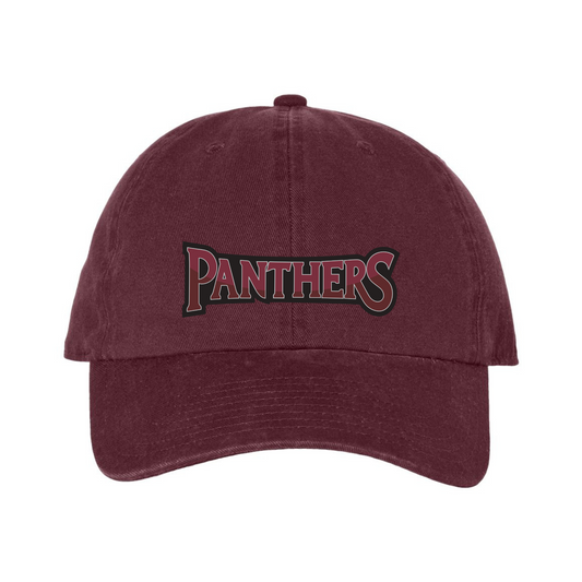 '47 Brand Panthers Hat