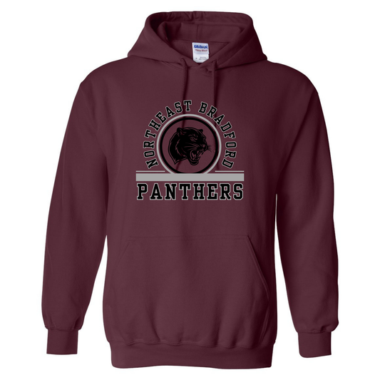Panthers - Gildan Heavy Blend Hoodie -Adult/Youth