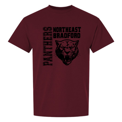 Panthers - DryBlend T-Shirt